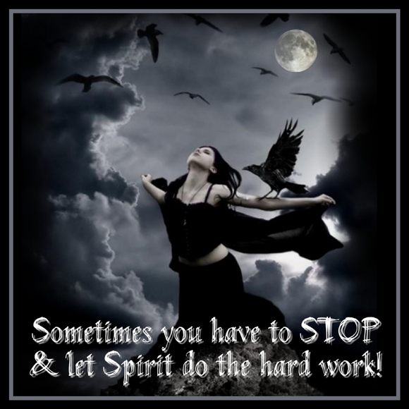 Hello Black Roses! Is Anyone Interested In Us Starting Our Share Group Up Again? - Picture 8 of 16